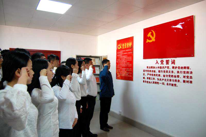 佩戴党徽 面向党旗庄严宣誓